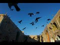 مقام حجاز شيطاني - حامد السعدي Maqam Hijaz Shaytani - Hamed al-Sa'adi