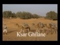 Ksar Ghilane - Oasis in the Sahara / Oásis no Sahara