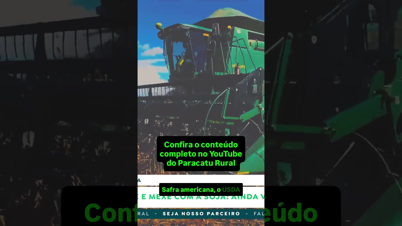 Corrida no Sorgo e Milho, Dólar Mexe com a Soja: Hora de Vender Grãos?