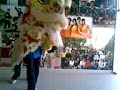 lion dance simei lion dance simei