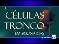 no I Seminário Nacional sobre Células tronco embrionárias