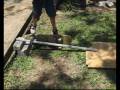 videos de Small Child Skateboarding