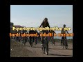 Noi... educatori ambientali precari!