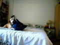 Pillow