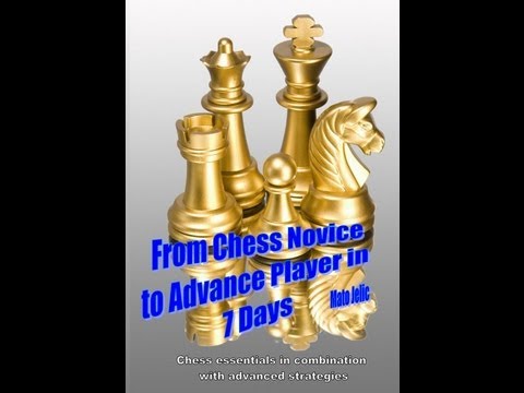 chess candidates 2013
