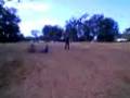 achraf