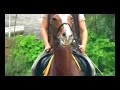 Crookedness induced Veterinary Problems