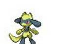 videos de My riolu tribute