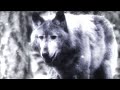 The Sword - Winter\ The Sword - Winter\