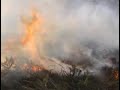 hai que botalos   incendios