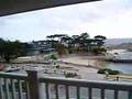 Framme i Pacific grove