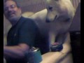 Siberian husky Vs Northern inuit husky