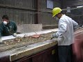 2009-11-20-a720-mvi_3223-video-ca-lemon-grove-edco-conveyor-1.avi