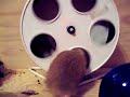 New Hamsters at the NYHH (part two)