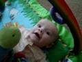 videos de ava talking