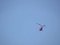 Red Helicopter with Propeller on Stalk - What Type is It? Red Helicopter with Propeller on Stalk - What Type is It?