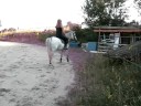 qri en carriére en juillet en 2008