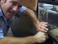 Eddie and the Hagfish