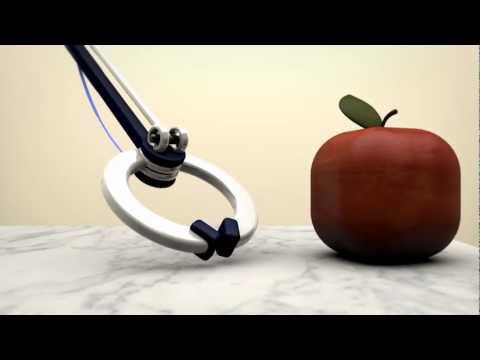 Forces - The Tiros Team: David Hariri: http://www.dhariri.com Matt Loszak: http://www.loszak.com A 3D animated educational video for Grade 11 Physics (SPH3U) Full Len...