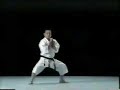 Seienchin Kata Seienchin Kata