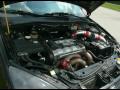Turbonetics Power SVT FOCUS TURBO