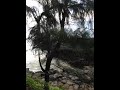 video2.mov Video