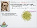erwin schrodinger biography pdf erwin schrodinger biography pdf