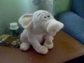 Cerdito