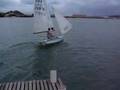 Snipe sail boat jybe