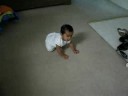Neeti crawling