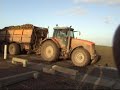Bietenrooien in Flevopolder door Loonbedrijf De Waard bv