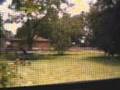 lawn mower vs. grass
