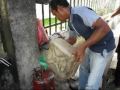 Kesaksian.mpg