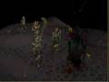 Guthix Sleeps.wmv