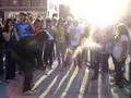 Jonathan Cook's Dance-Off
