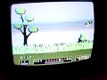 Duck Hunt