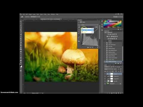 Как сделать в солнечную фотографию