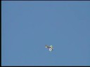 RC SYNAPSE2 HandMade F3A AERO Flyer by Fabrizio RC SYNAPSE2 HandMade F3A AERO Flyer by Fabrizio