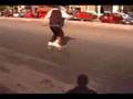 VFF2 second edited video of the egyptian skate scene