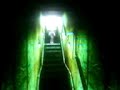 resident evil 3 nemesis(graficas de agua)