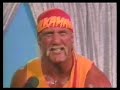 WWF WrestleMania VCR Game