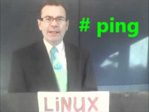 how to ping in linux