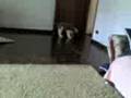 videos de Batman 2