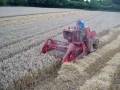 Two massey 735 combine harvesters