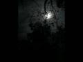 Night Photos While Camping