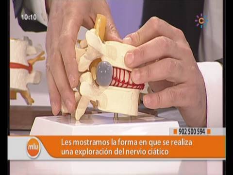 nervio ciático - Os mostramos cómo se reconoce el nervio ciático y hablamos de una técnica que cura la hernia discal sin cirugía ni dolor.