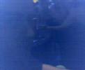 new-short-gar-clip.html