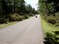 Manco Go Kart 2 seater