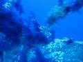 Daniel_202 Dive Aida Brothers Island
