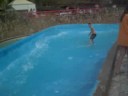 thiago desani louco